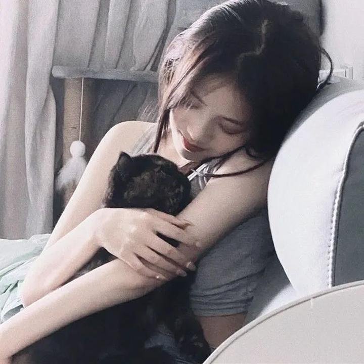 憨姑爷粤语